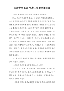 县共青团2025年度工作要点团支部