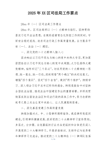 2025年XX区司法局工作要点