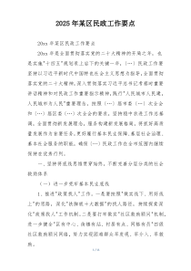 2025年某区民政工作要点