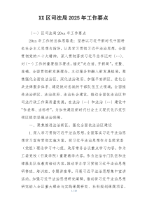 XX区司法局2025年工作要点