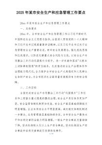 2025年某市安全生产和应急管理工作要点