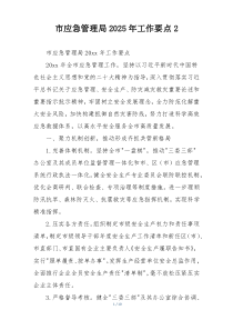 市应急管理局2025年工作要点2