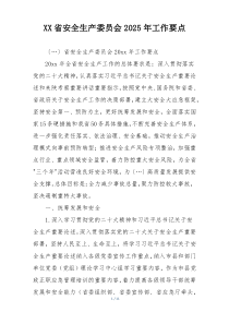 XX省安全生产委员会2025年工作要点