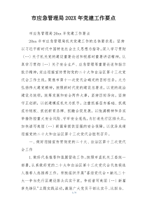 市应急管理局202X年党建工作要点