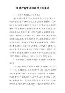 XX高校共青团2025年工作要点