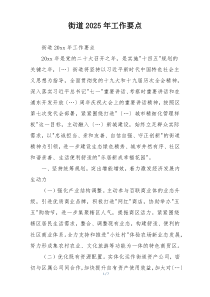 街道2025年工作要点