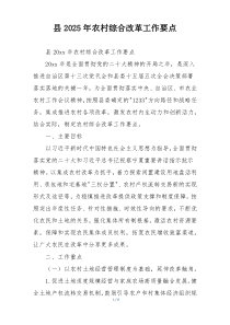 县2025年农村综合改革工作要点