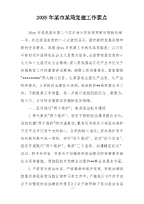 2025年某市某局党建工作要点