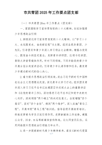 市共青团2025年工作要点团支部