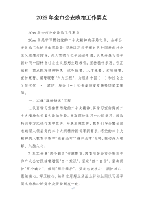 2025年全市公安政治工作要点