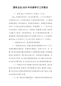 国有企业2025年内部审计工作要点