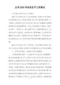 公司2025年安全生产工作要点