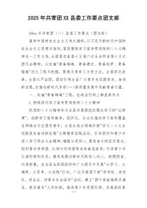 2025年共青团XX县委工作要点团支部