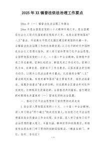 2025年XX镇普法依法治理工作要点