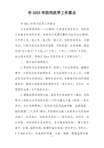 市2025年防汛抗旱工作要点