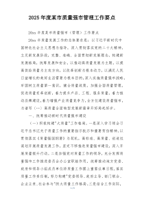 2025年度某市质量强市管理工作要点