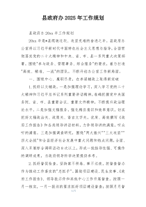 县政府办2025年工作规划
