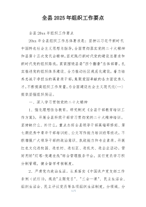 全县2025年组织工作要点