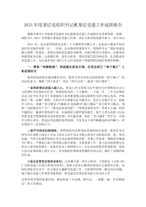 2025年度基层党组织书记抓基层党建工作述职报告