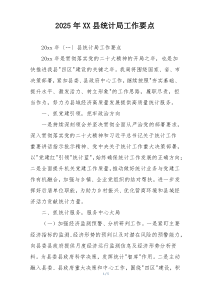 2025年XX县统计局工作要点