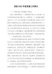 党组2025年度党建工作要点