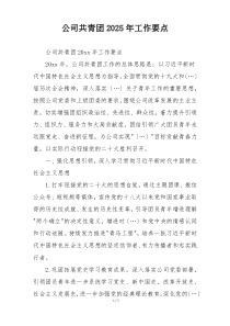 公司共青团2025年工作要点