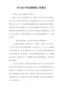 市202X年应急管理工作要点