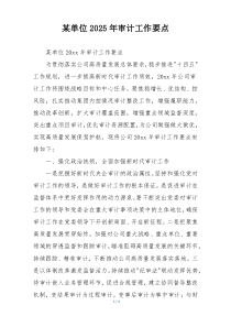 某单位2025年审计工作要点