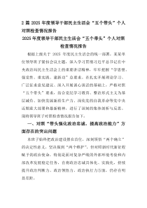2篇2025年度领导干部民主生活会“五个带头”个人对照检查情况报告