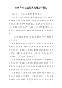 2025年市社会组织党建工作要点