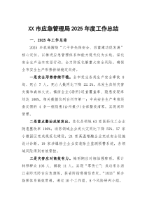 XX市应急管理局2025年度工作总结