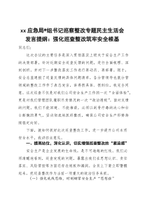 XX应急局党组书记巡察整改专题民主生活会发言提纲：强化巡查整改 筑牢安全根基