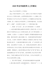 2025年全市退役军人工作要点