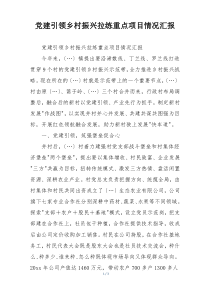 党建引领乡村振兴拉练重点项目情况汇报