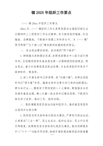 镇2025年组织工作要点