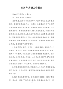 2025年乡镇工作要点