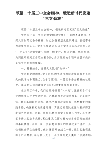 领悟二十届三中全会精神，锻造新时代党建“三支劲旅”