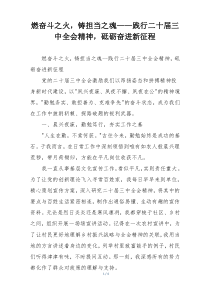 燃奋斗之火，铸担当之魂——践行二十届三中全会精神，砥砺奋进新征程