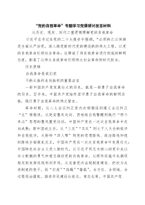 “党的自我革命”专题学习党课研讨发言材料范文3篇
