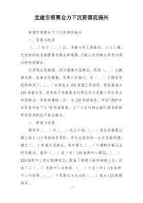 党建引领聚合力下沉资源促振兴