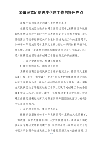 某镇民族团结进步创建工作的特色亮点