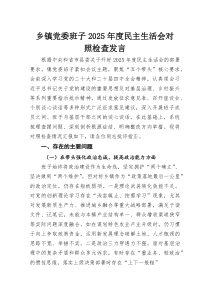 乡镇党委班子2025年度民主生活会对照检查发言