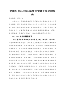 党组织书记2025年度抓党建工作述职报告