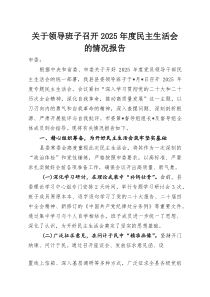 关于领导班子召开2025年度民主生活会的情况报告