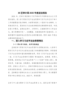 区审计局2025年度述法报告