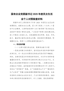 国有企业党委副书记2025年度民主生活会个人对照检查材料