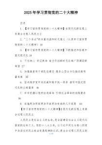 2025年学习贯彻党的二十大精神