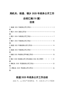 局机关、街道、镇乡2025年政务公开工作总结汇编（10篇）