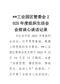 工业园区管委会2025年度组织生活会会前谈心谈话记录