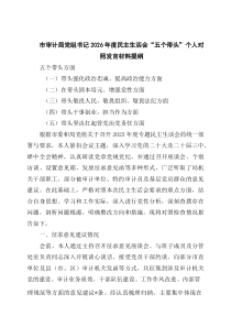 市审计局党组书记2026年度民主生活会“五个带头”个人对照发言材料提纲_精选